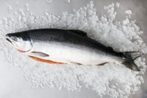 Salmon_Fish-_Health_Article_Doctorfolk