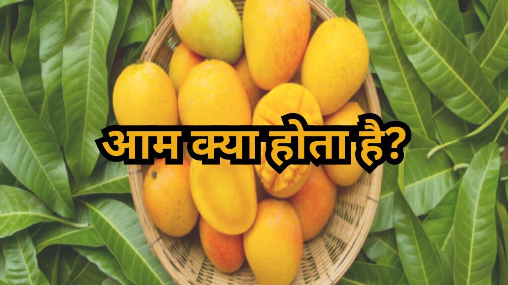 आम क्या होता है?