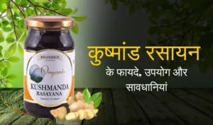 Kushmanda Rasayana Benefits in Hindi