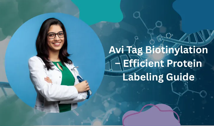Avi Tag Biotinylation – Efficient Protein Labeling Guide