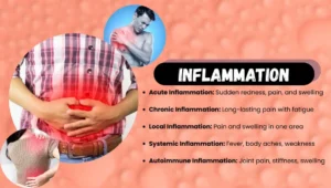 Inflammation Types, Symptoms, Causes, Treatment, and Prevention