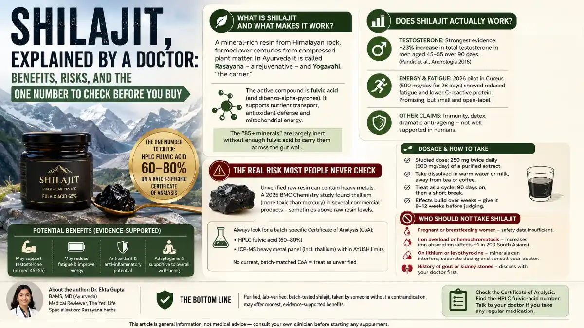 Shilajit, Explained by a Doctor: Benefits, Risks, and the One Number to Check Before You Buy